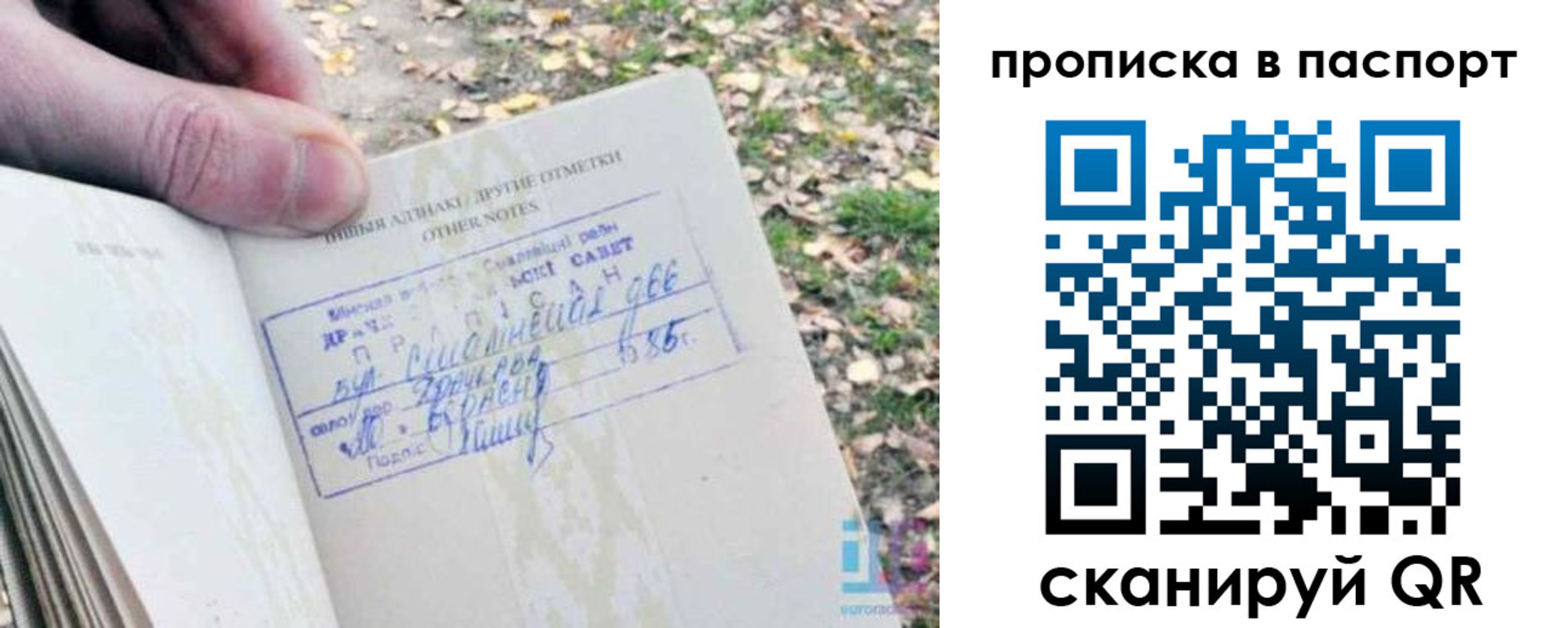 купить прописку в Нововоронеже